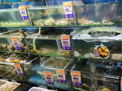 -小船渔村•大连菜•大连焖鱼(明泽街店)