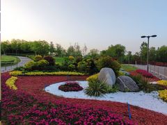 -西安浐灞国家湿地公园