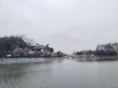 -月湖风景区