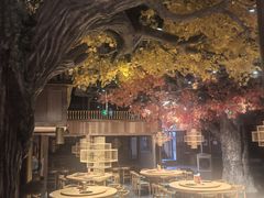 -老凯俚酸汤鱼(多彩城店)