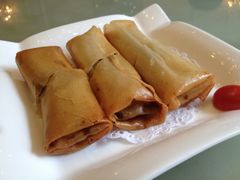 三丝五香炸春卷-茂名熹龙国际大酒店(人民广场高铁站店)