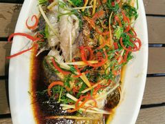 清蒸海鱼-南蚝小贝海鲜特色餐厅(南澳岛店)