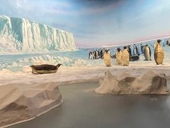 -浙江自然博物院(杭州馆)