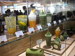 -雪绿茶博物馆