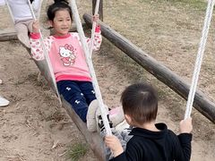 -上海海湾国家森林公园