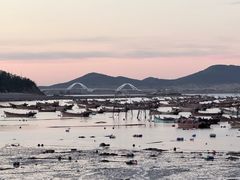 -春妮海味饭店·海景餐厅·海菜包子·大连海鲜