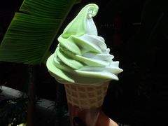 -单家老院·院子里的青岛菜(沙子口店)