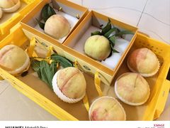 -老袁家蜜桃农场·阳山水蜜桃