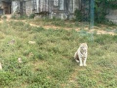 -无锡动物园·太湖欢乐园