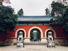 -灵谷景区