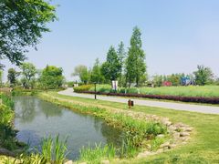 -田园东方蜜桃村的田野营地
