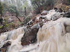 -火炉山森林公园