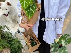 -自由生长植物工作室(深港花卉中心店)