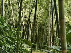 -苏州河梦清园环保主题公园