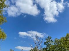 -梁鸿国家湿地公园