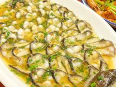 -呼吸森林·生态农庄农家乐私房菜