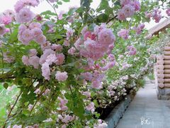 -长春公园(普阳街道)