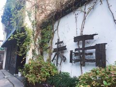 -运河游船(武林门码头)