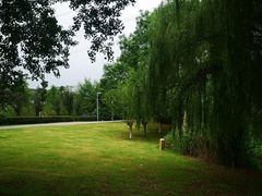 -九里河湿地公园