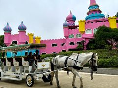 -南京银杏湖乐园