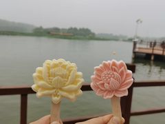 -白洋淀景区