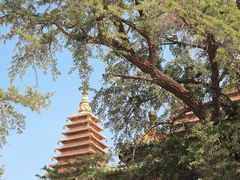 -北京石刻艺术博物馆(五塔寺)