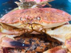 -无锡天鹏食品城