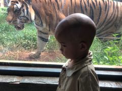 -昆明动物园