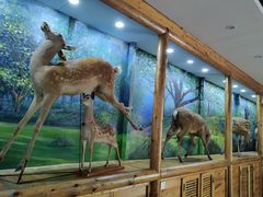 -北京鹿世界主题园