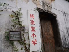 -杨家堂村
