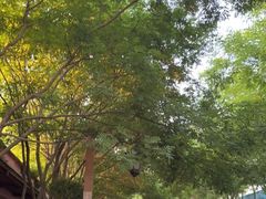 -郑州方特水上乐园