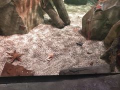 -沈阳海洋探索中心