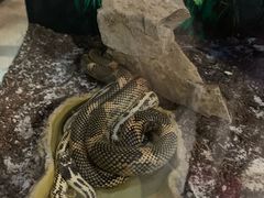 -北戴河圣蓝海洋公园