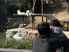 -宁波野生动物园