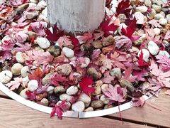 -辽宁大学(崇山校区)