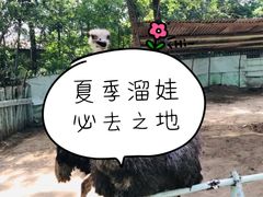 -1982农场
