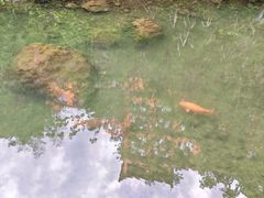 -夏霖九天银瀑风景区