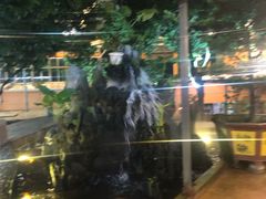 -荔城生鲜盛宴(番禺旗舰店)
