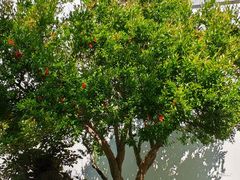 -南山风景名胜区