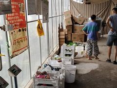 -马陆小张葡萄园农家乐