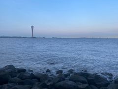 -上海吴淞炮台湾国家湿地公园