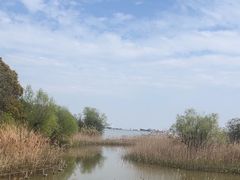 -上海吴淞炮台湾国家湿地公园