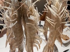 深水虾-海月轩海鲜豆捞(紫金塔店)