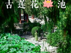 -莲池书院博物馆