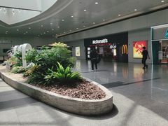 -上海浦东国际机场-T2航站楼