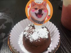 -逗柴咖啡屋·狗咖猫咖宠物桌游