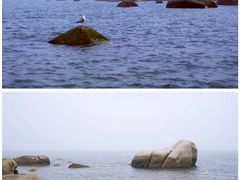 -崂山仰口游览区