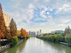 -运河游船(武林门码头)