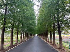 -嘉北郊野公园
