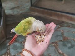 -北京野生动物园